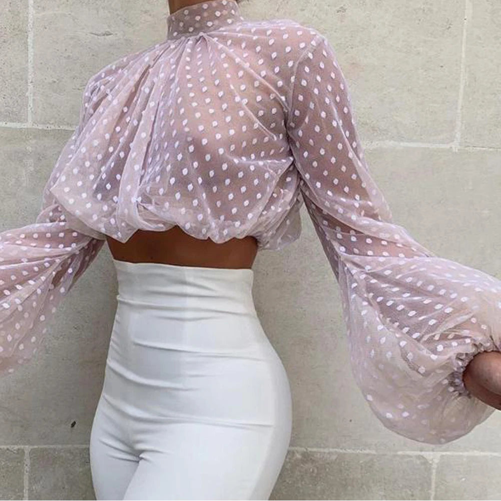 Womens See-through Polka Dot Transparent Mesh Long Sleeve Blouse.